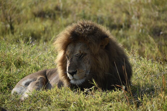 06 Days Kenya LuxuryLodge Safari - Key points before you book