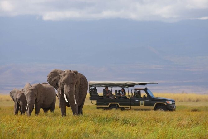 1-Day Amboseli Safari - The 5:00 am departure from Nairobi