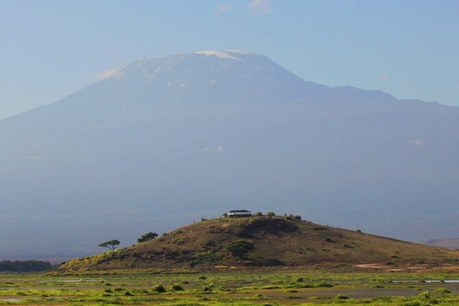 1-Day Amboseli Safari - Elephant families and the art of patient viewing