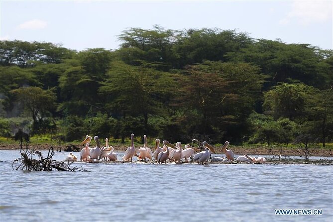 1 Day Bike Tour to Hell’s Gate And Lake Naivasha - Walking through Hell’s Gate’s narrow gorges