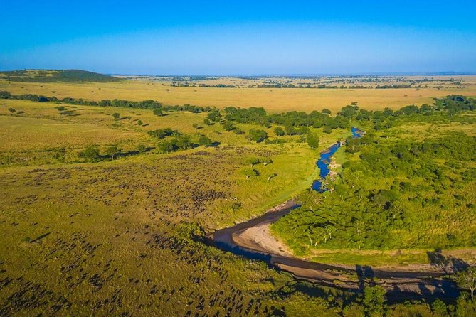 1-Day Maasai Mara Safari - Returning to Nairobi the same evening