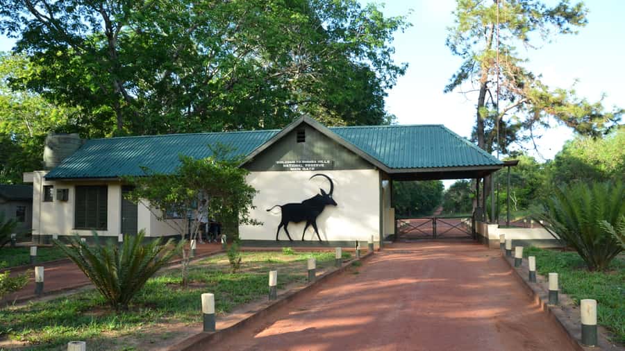 1 day Shimba Hills Tour - Key points before you book