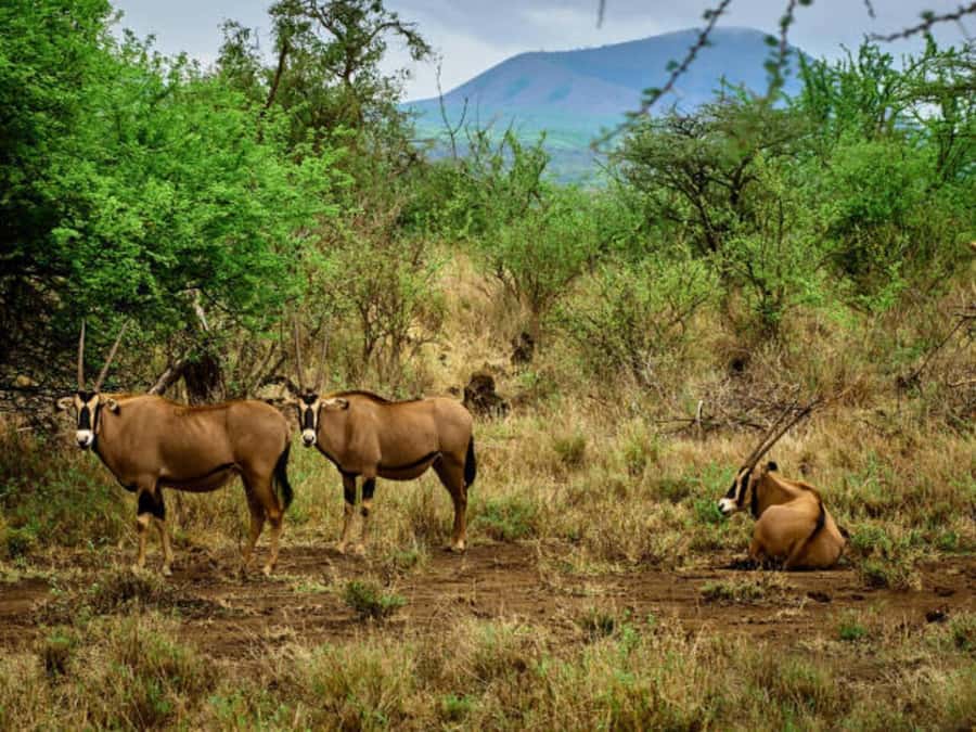 1 day Shimba Hills Tour - What to bring for the trail and the reserve