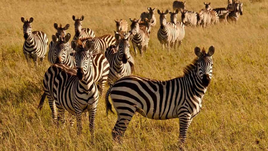 1 day Shimba Hills Tour - The walk to Sheldrick Falls at about 11:00 am