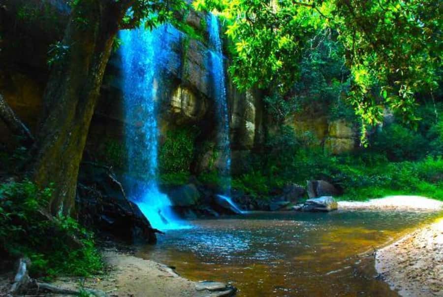 1 day Shimba Hills Tour - Swimming at the falls, with a few sensible cautions