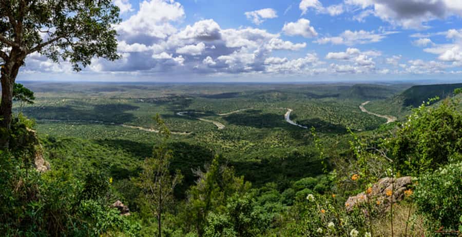 1 day Shimba Hills Tour - Lunch at Shimba Lodge and the wide coastal view