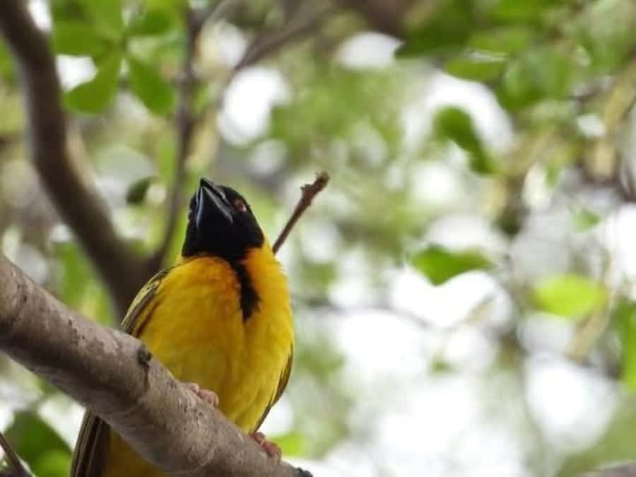1 day Shimba Hills Tour - Is $190 a fair price?