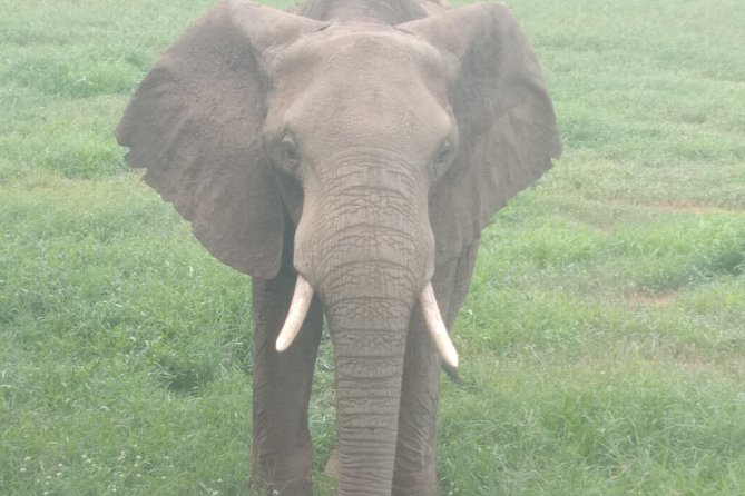 1 day Shimba hills - Walking through the reserve to Sheldrick Falls