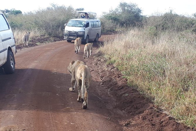 1 Day Tour Nairobi National Park,Giraffe Center&Karen Blixen - A city safari before breakfast