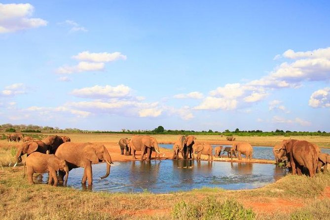 1-Day Tsavo East Safari From Mombasa - Seven hours among Tsavo East’s plains and river country
