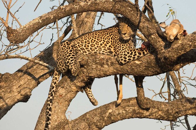 1 Day Tsavo East Safari ( Minimum 2 Pax) - The road to Tsavo East