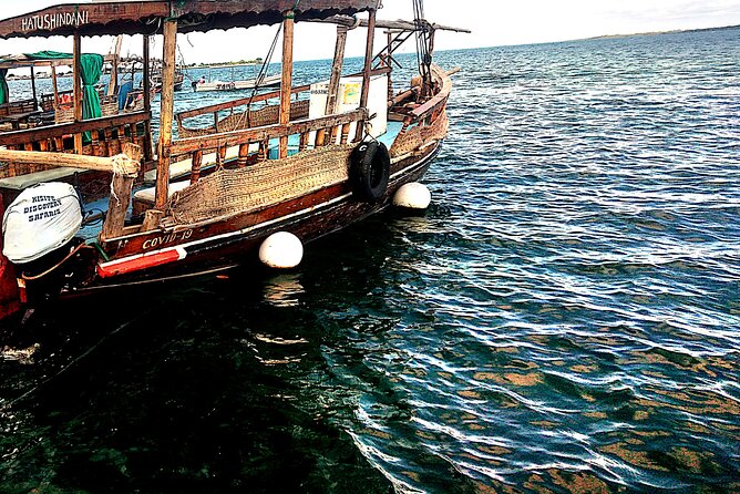 1 day wasini island ( Kisite Marine park) - Key points to know before booking