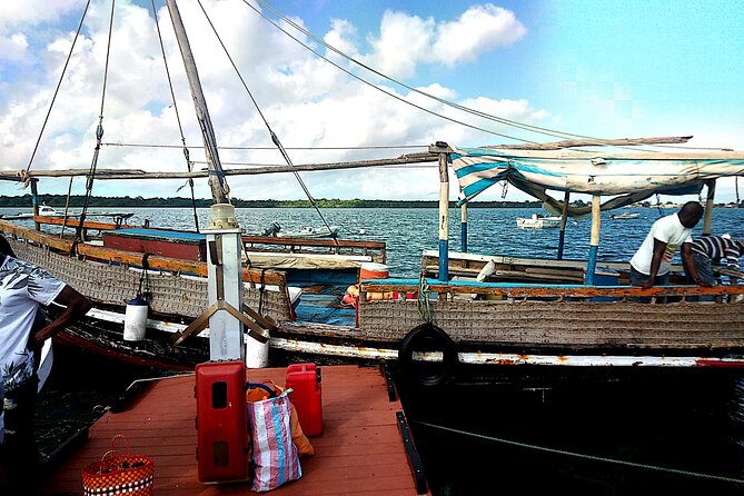 1 day wasini island ( Kisite Marine park) - Searching for wild dolphins for one hour