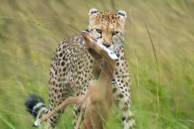10-Day Private Tour in Big Five Safari and Beaches - What the private format changes