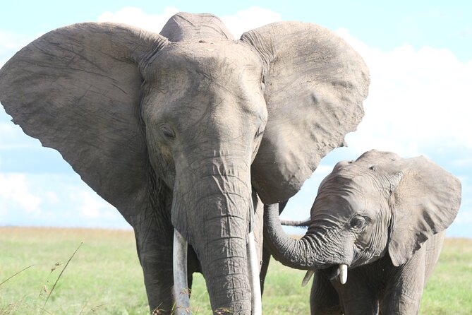 10 -Days Best of Kenya and Tanzania Classic Safari - Tarangire’s elephants and baobabs