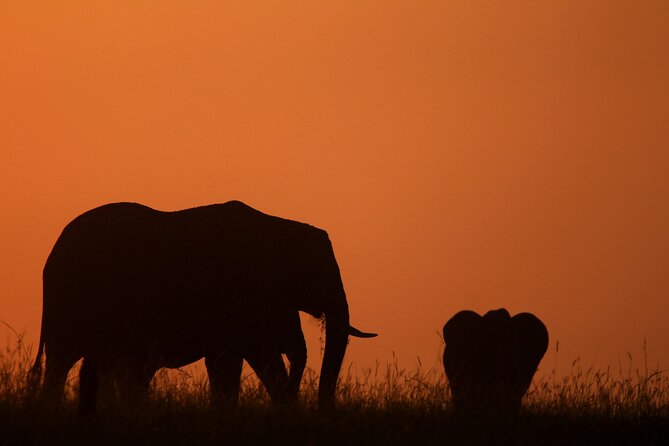 10 -Days Best of Kenya and Tanzania Classic Safari - Entering the Serengeti by road