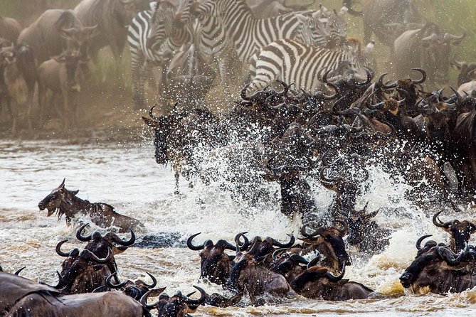 11-Days Best of Kenya & Tanzania Big 5 Safari on a 4x4 Jeep - Key things to know before booking