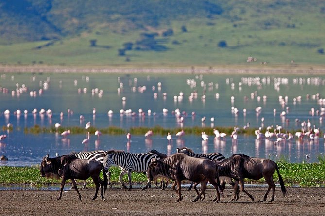 11-Days Best of Kenya & Tanzania Big 5 Safari on a 4x4 Jeep - Hell’s Gate and Lake Naivasha add a change of pace