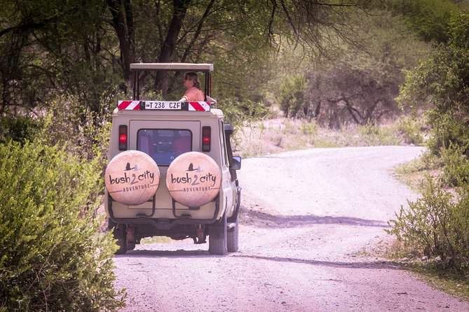12 Days Best Of Kenya and Tanzania Safari - Luxury - The route gives you a real taste of East Africa