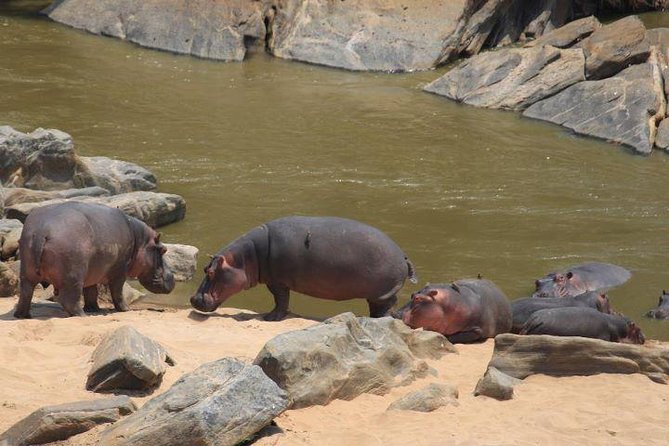 12 Days Kenya and Tanzania Budget Private Safari from Nairobi - Lake Naivasha and Hell’s Gate on day two