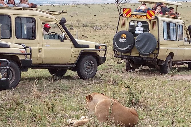 12 Days Kenya and Tanzania Budget Private Safari from Nairobi - Serengeti plains and the Seronera hippo pool