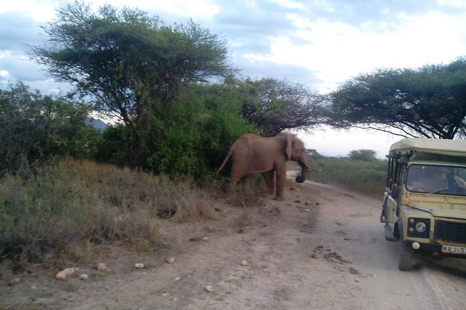 12 Days Kenya and Tanzania Budget Private Safari from Nairobi - Nairobi arrival and a useful first day