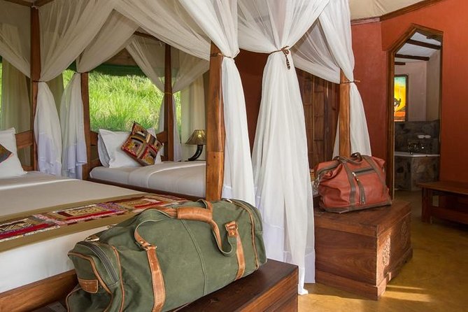12 days Kenya and Tanzania safari private lodge from Nairobi - Serengeti, from evening light to a full day