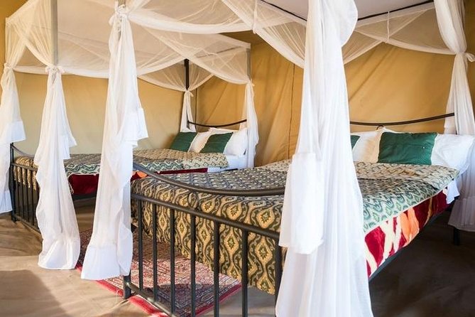 12 Days Kenya & Tanzania Safari Private Lodge Safari from Nairobi - The Masai Mara gets the main stage