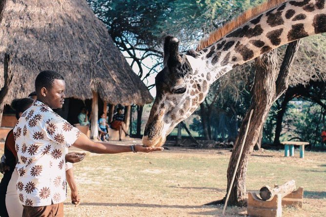 12 Days Kenya Tanzania wildlife Joining Tour - Nairobi arrival and a gentle first day