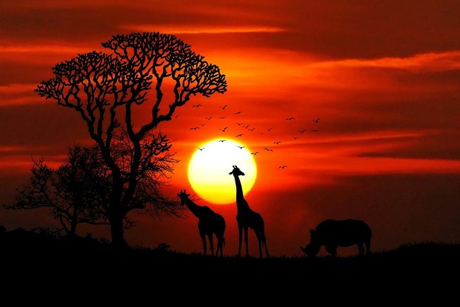 12 Days Kenya Tanzania wildlife Joining Tour - Maasai Mara: lions, open grasslands, and the Mara River