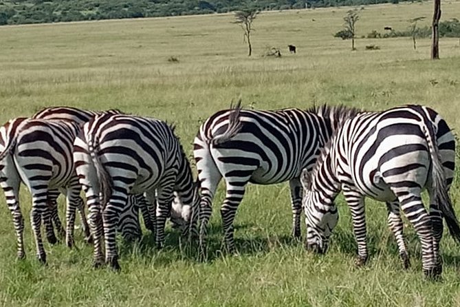 12 Days wildebeest migration Masai Mara Nakuru Uganda gorilla trekking safari - Day 7: Lake Bunyonyi before the forest trek
