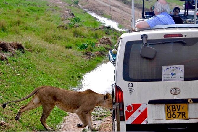 13-Day Private Wildlife Safari Tour of Kenya and Tanzania - Days 4 to 6: Three nights in the Maasai Mara