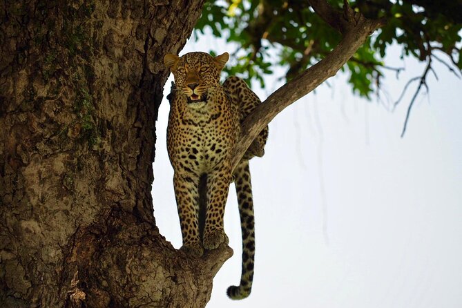 13-Day Private Wildlife Safari Tour of Kenya and Tanzania - Days 8 and 9: Entering the Serengeti through Ndabaka Gate