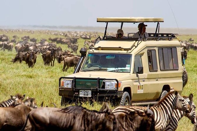 13 Days Best of Kenya and Tanzania BudgetSafari - Key points to know before booking