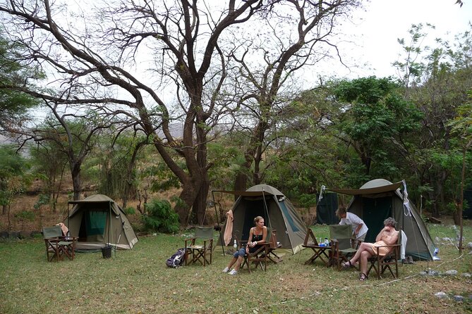 14-Days Kenya and Tanzania Camping Safari from Nairobi - Day 11: An early Serengeti drive and the Ngorongoro rim