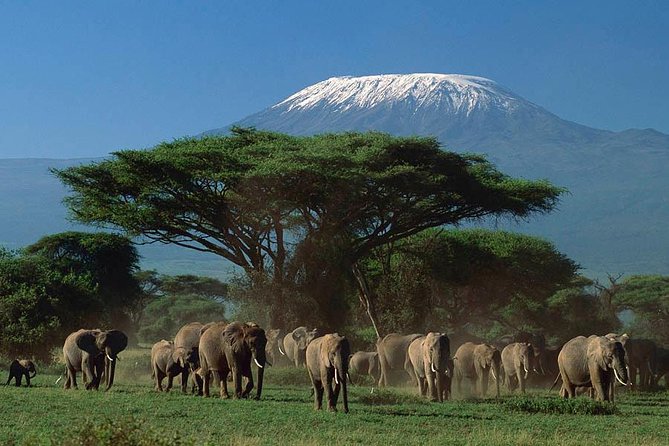 15 Days Classic Kenya & Tanzania + Zanzibar Beach Holiday - Key points to know before booking