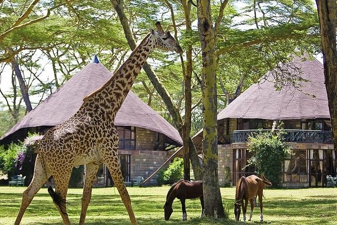 15 Days Classic Kenya & Tanzania + Zanzibar Beach Holiday - Day 8: Crossing from Kenya into the Serengeti