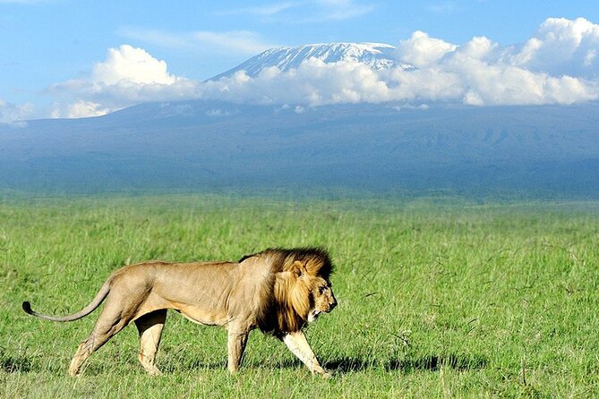2-Day all inclusive safari to Amboseli National park from Nairobi - Leaving Nairobi at 8 am for the southeast