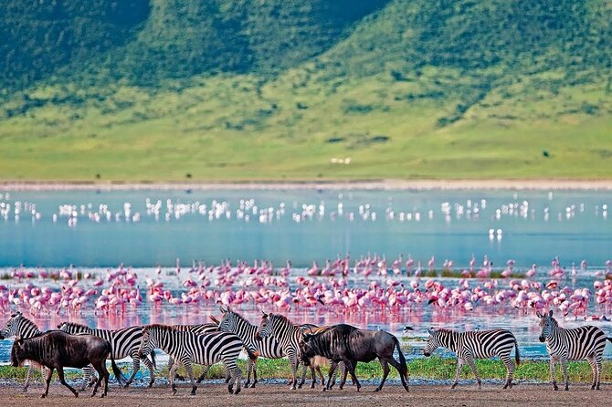 2-Day Hell's Gate, Crescent Island and Nakuru - Private Safari - Why this Nairobi safari works in only two days