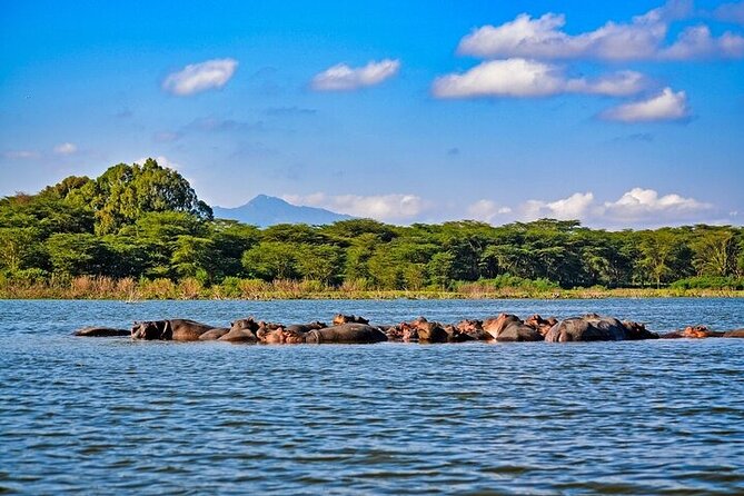 2-Day Hell's Gate, Crescent Island and Nakuru - Private Safari - What $420 per person really covers