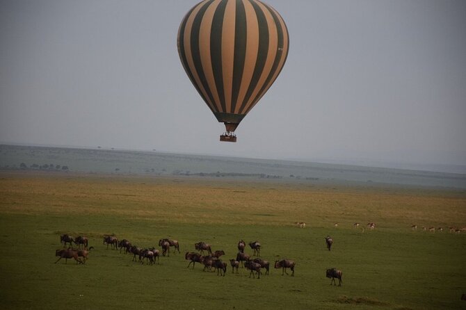 2-Day Private Tour in Masai Mara with Pick Up - How the driving affects the experience