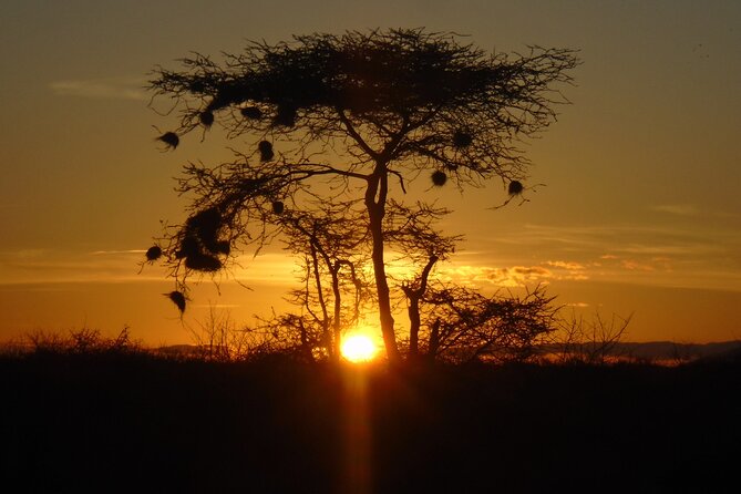 2-Day Private Tour in Tsavo East - Why Tsavo East works well from Mombasa
