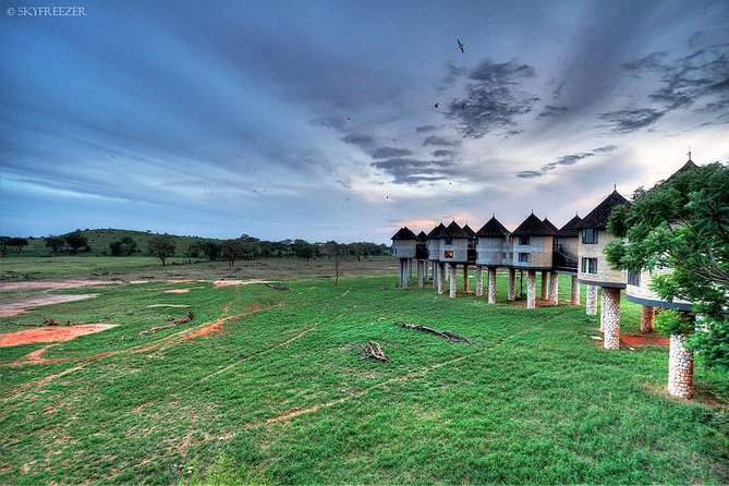 2-Day Safari in Taita Hills from Mombasa - Ngutuni Sanctuary gives day one a useful first stop