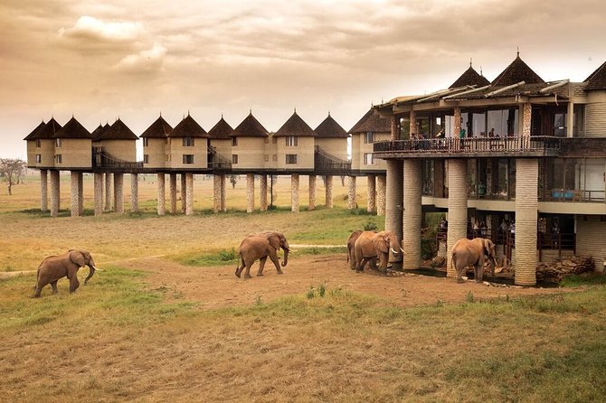 2-Day Safari in Taita Hills from Mombasa - The $399 price: where the value lies