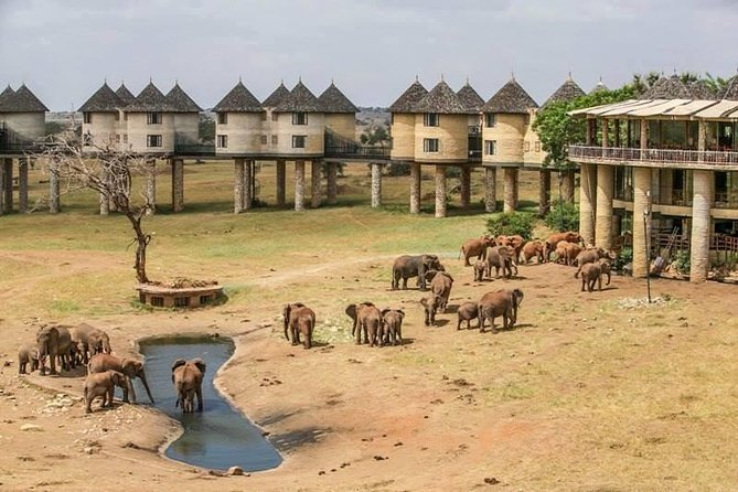 2-Day Safari in Taita Hills from Mombasa - Taita Hills and the afternoon game drive