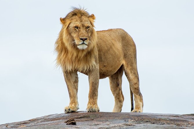 2-Day Tsavo East Private Tour - Key points for choosing this safari