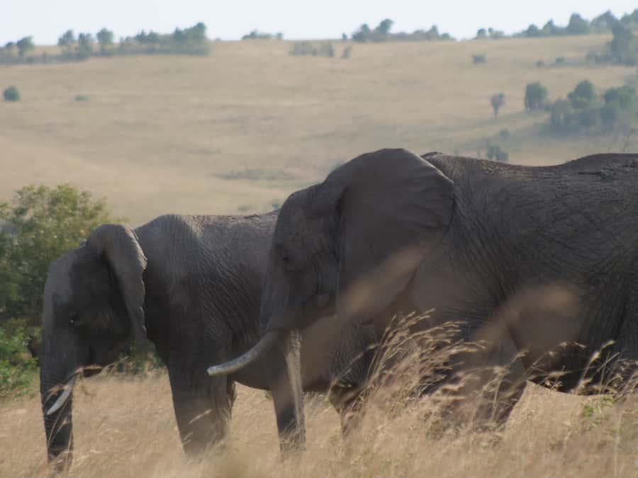 2 Days 1 Night Amboseli Safari - Leaving Nairobi for the Amboseli road