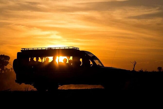 (2 Days, 1 Night) Day & Night Game Drive Tsavo East National Park - Why the night drive changes the safari
