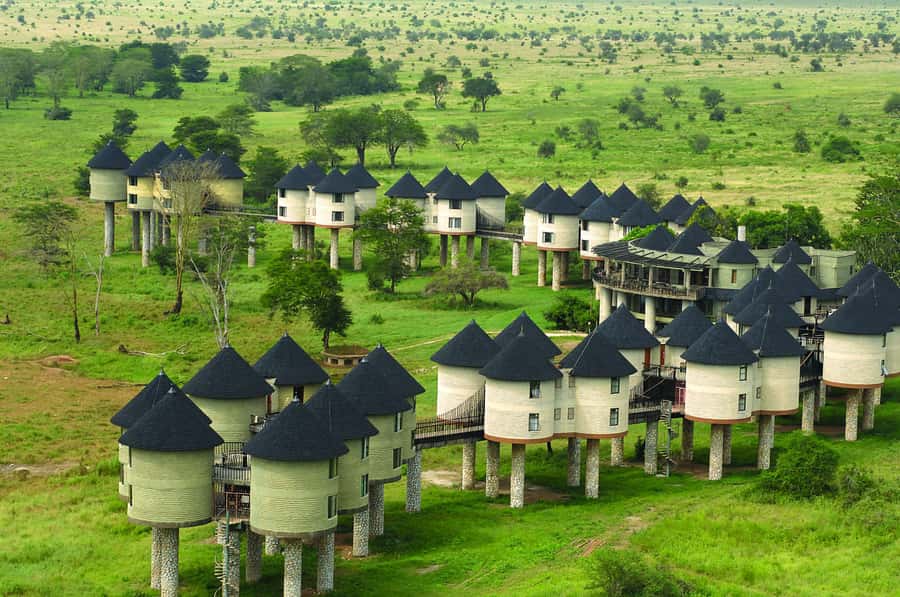2 days 1 night saltlick safari from Diani/Mombasa - Booking details worth knowing