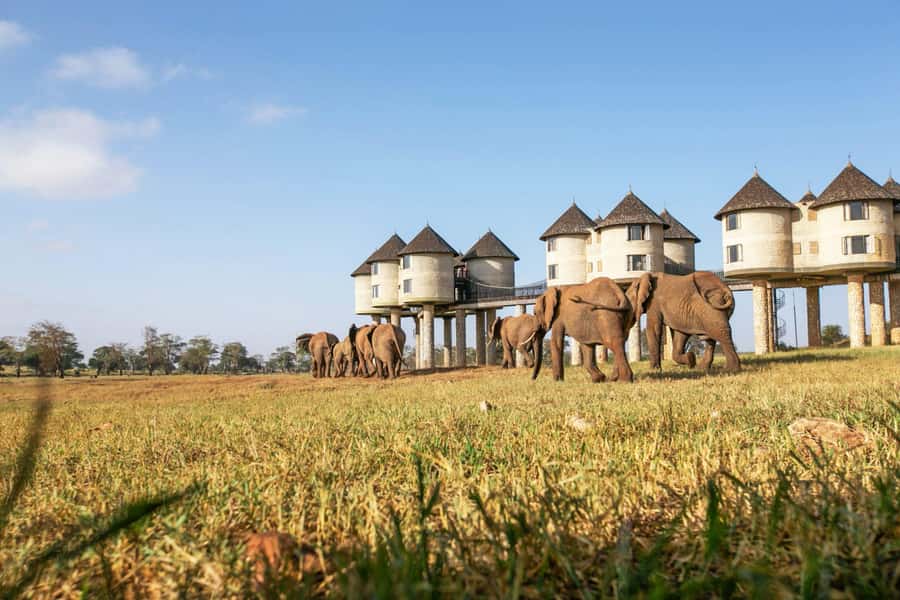 2 days 1 night saltlick safari from Diani/Mombasa - The evening drive before sunset